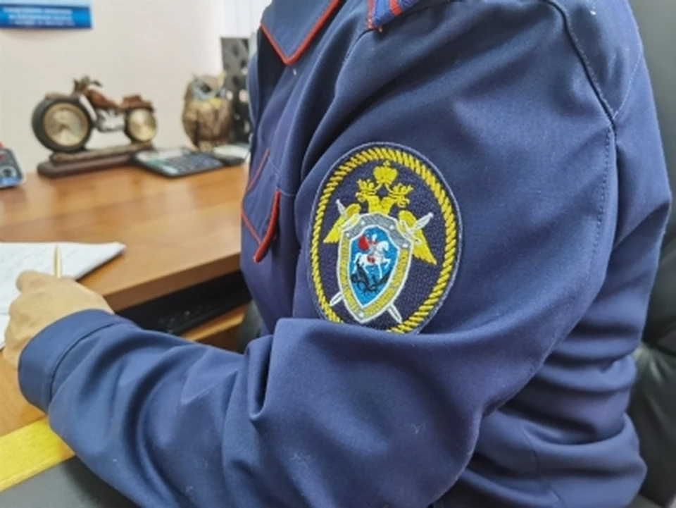 Фото: СК СУ России по Костромской области
