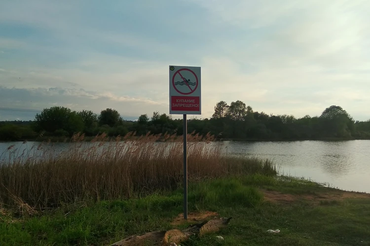 На берегу водоемов Липецка появились таблички "Купание запрещено!"