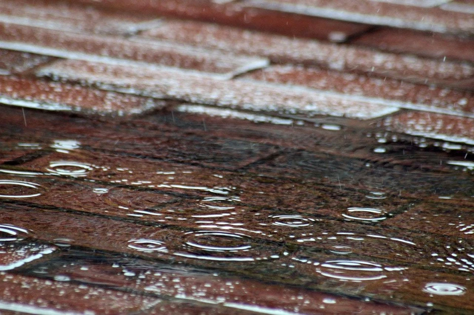 Фото: pexels.com