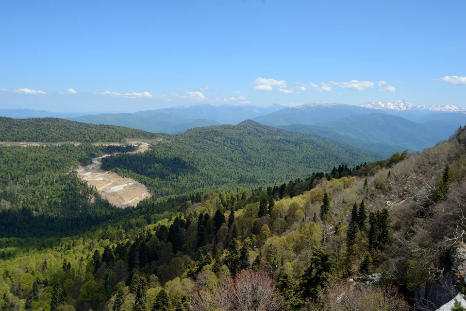 Самшитовые леса Лаго Наки