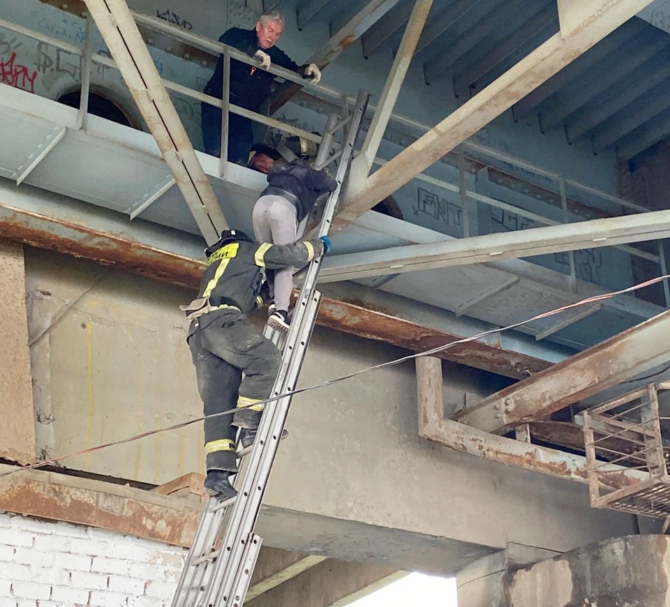Спасатели помогли подростку спуститься с опасной высоты. Фото: Спасательная служба Череповца.