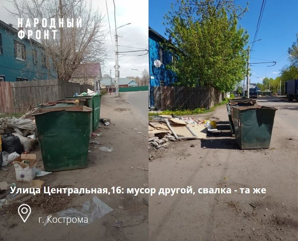 Фото: https://vk.com/onf_kostroma