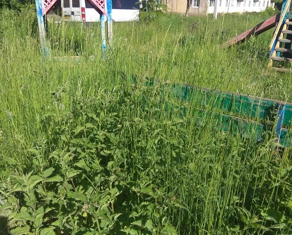 В Узловой Тульской области на детской площадке ребенок заблудился в траве