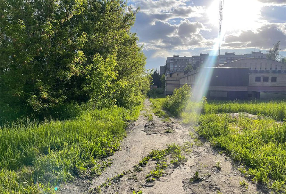 Парк Кулибина благоустроят в Нижнем Новгороде в 2023 году. ФОТО: Телеграм-канал Ильи Лагутина.