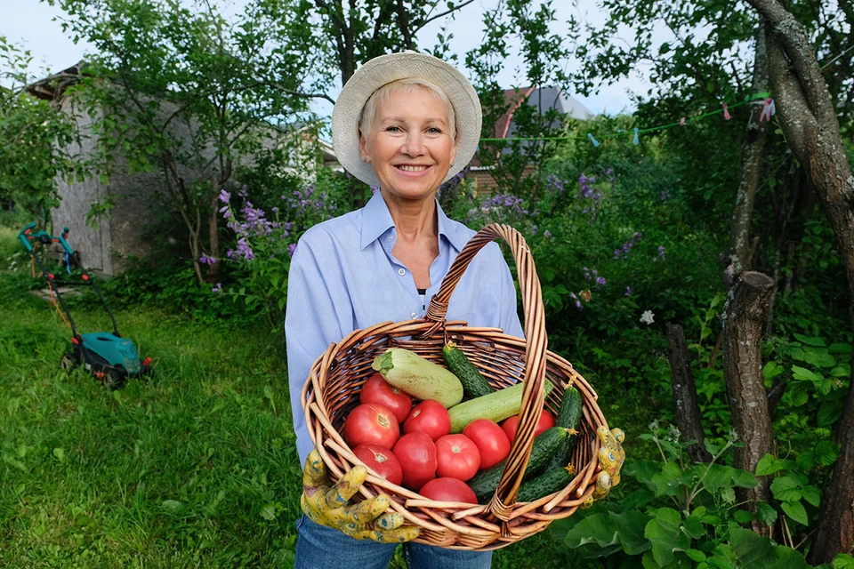 16 июня отмечается День свежих овощей.