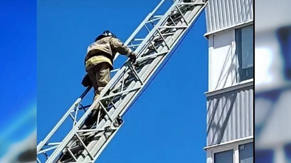Спасатели воспользовались пожарной автолестницей. Фото - скриншот