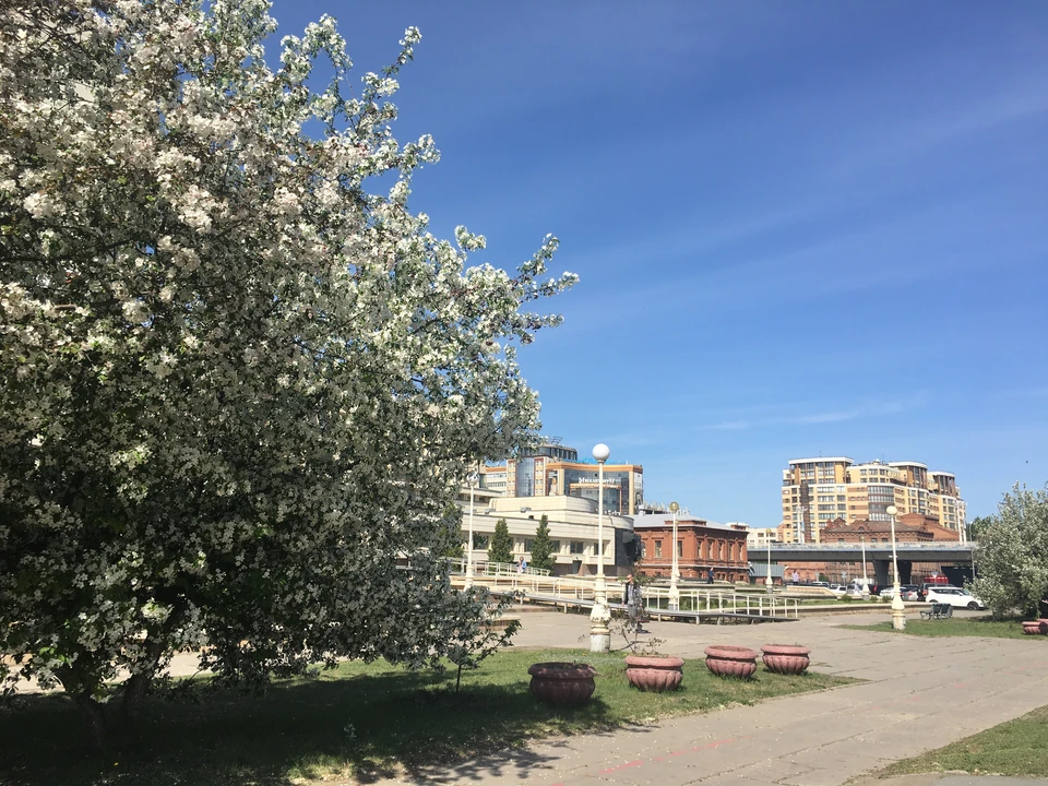 Победителям обещают дипломы.