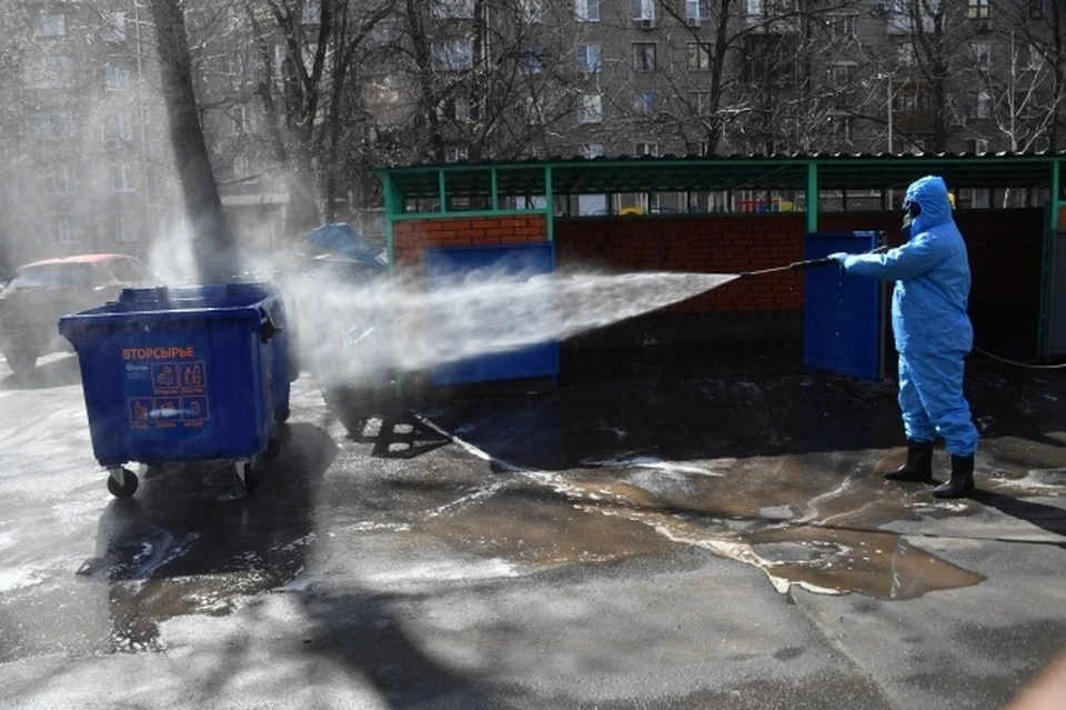 Территории, на которых расположены контейнеры, приведут в порядок до 1 сентября