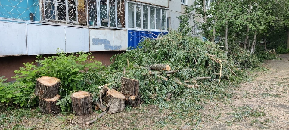 Аллею срубили на Левобережье. Фото: «Голос Омска»