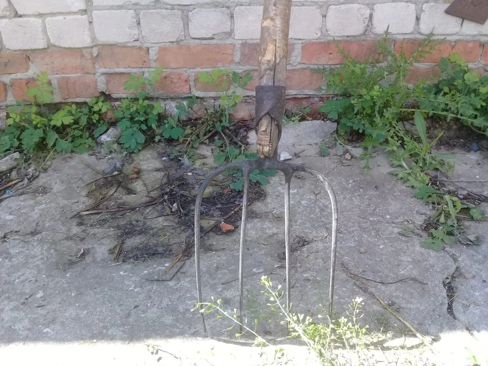 Злоумышленник встретил родственников с вилами и, угрожая 64-летней матери физической расправой, ударил ее садовым инструментом в руку.