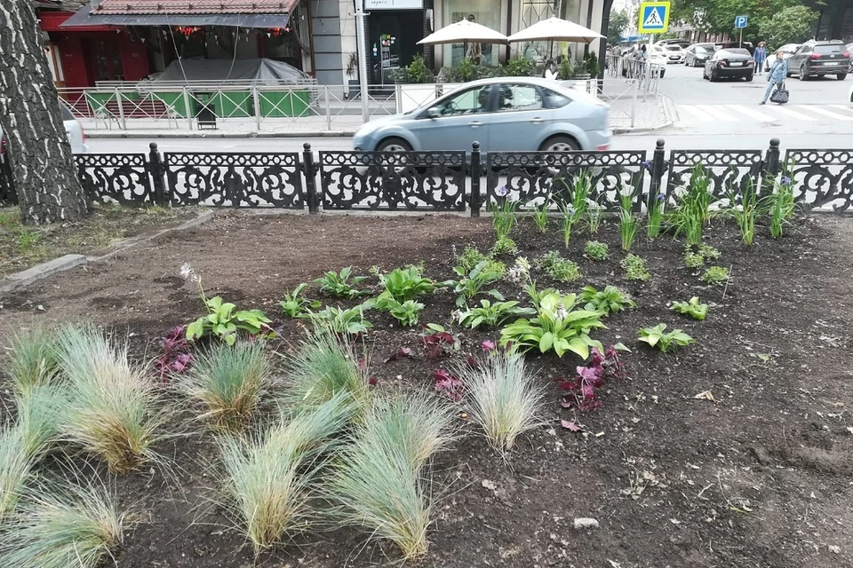 Однолетние растения заменили на многолетние. Фото: «Зеленый Новосибирск».