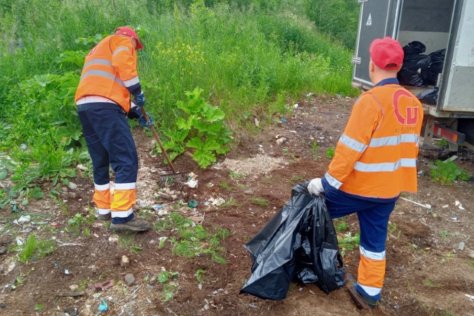 В некоторых местах мусор оставляют регулярно. Фото: admkirov.ru