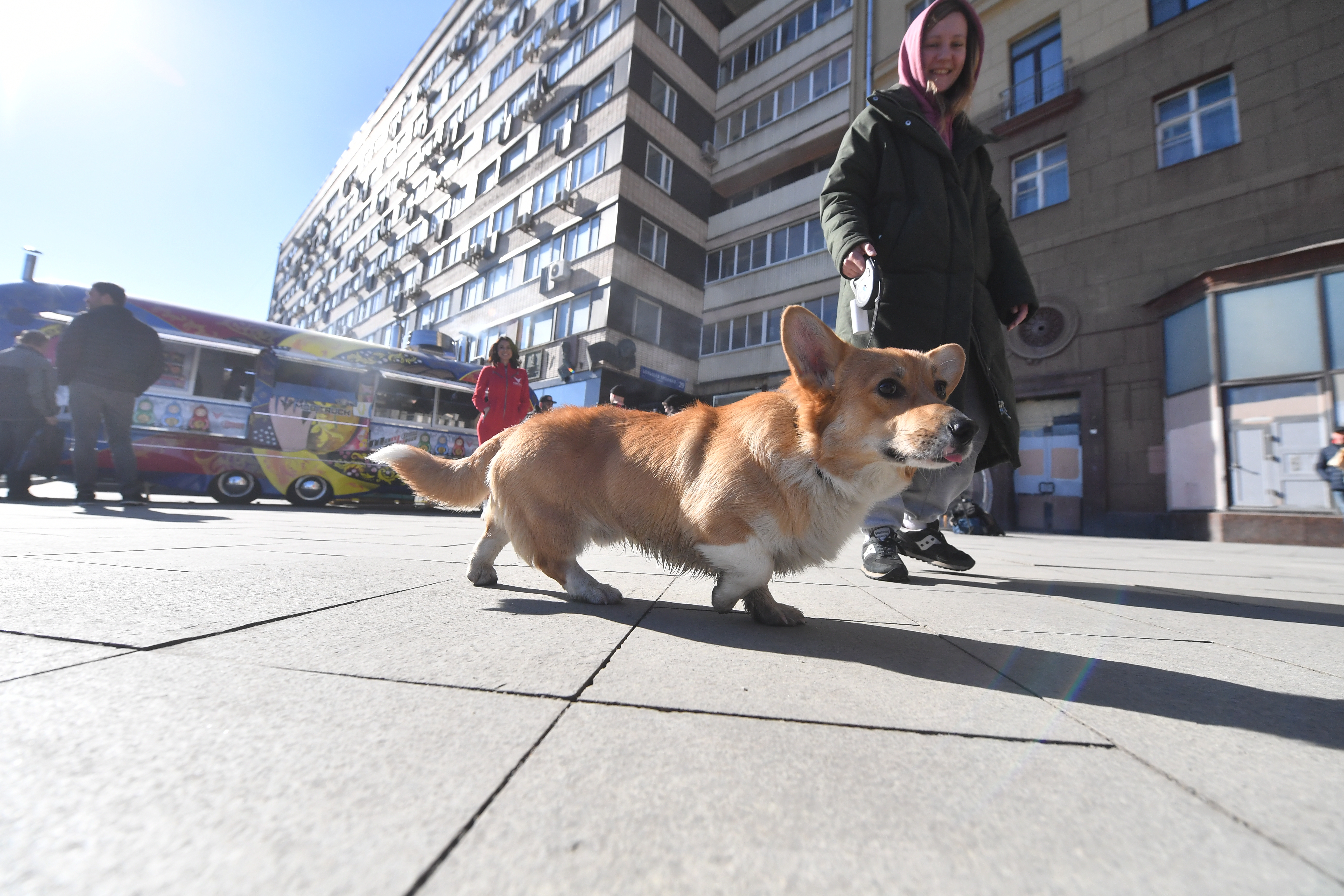 Как у кинологов: первая из 29 модернизированных площадок для собак открылась в Москве.
