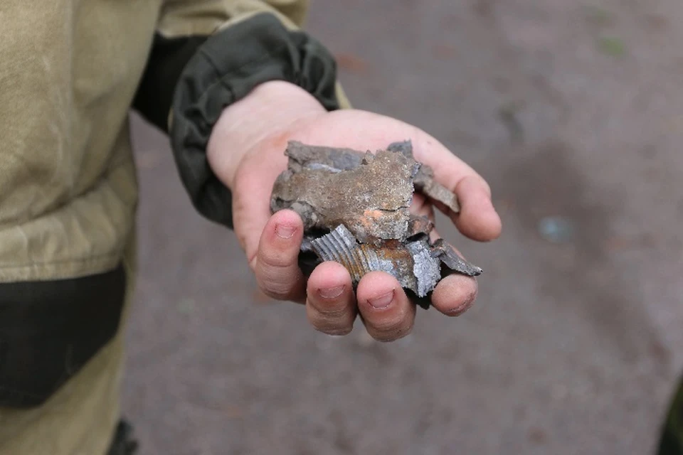 Поездка оказалась сопряжена с опасностью