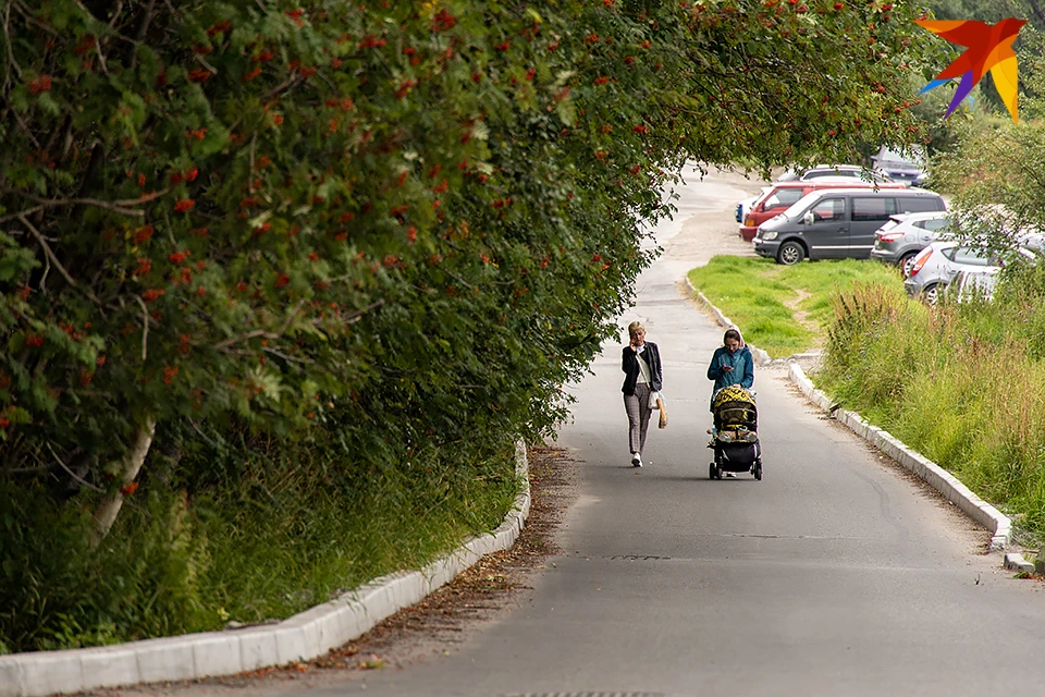 правительство рф лица. региональные проекты.