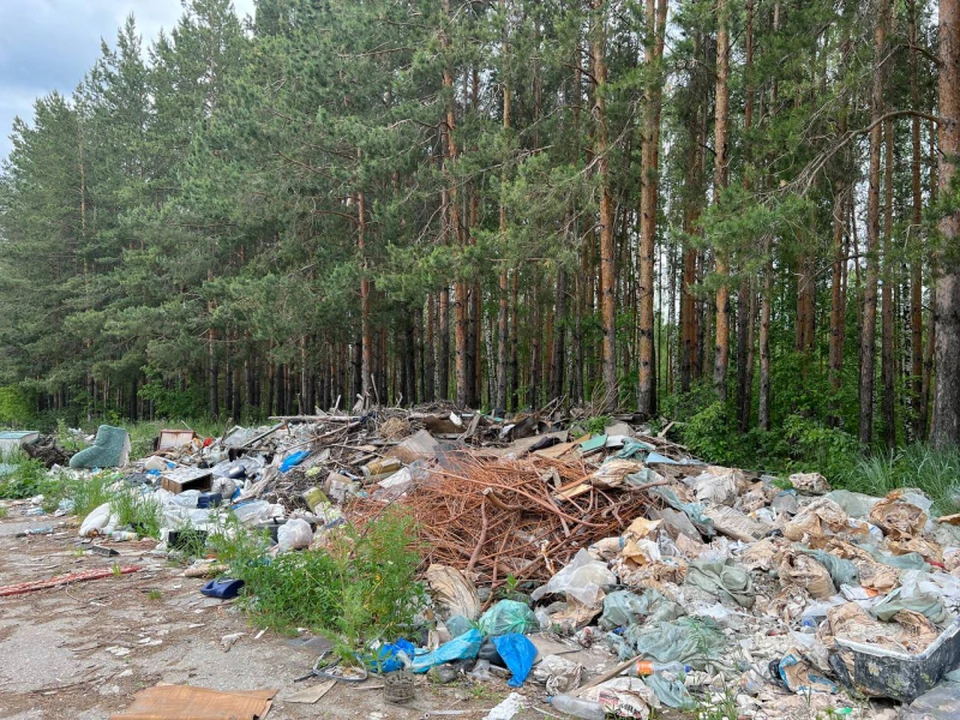 ФОТО: сайт ульяновского штаба Общероссийского народного фронта