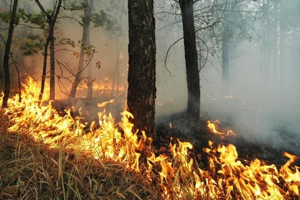 В Калужской области установили 4 класс пожарной опасности