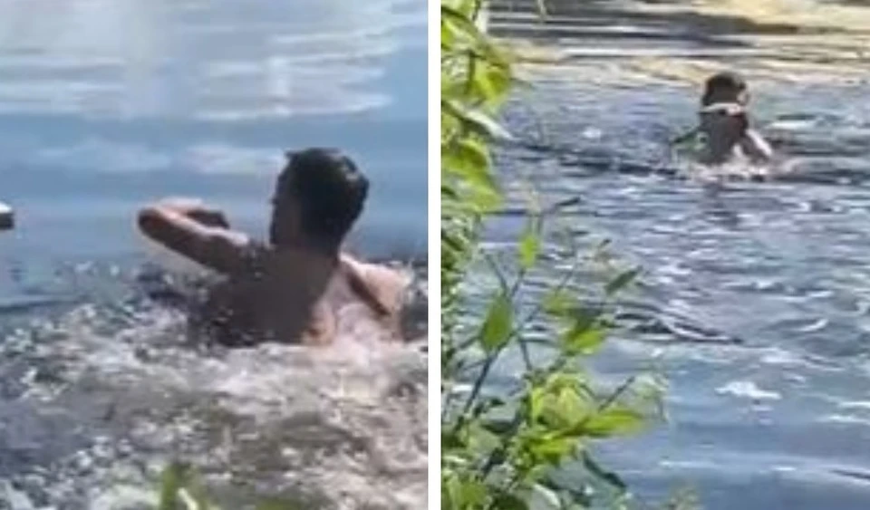 В Тюмени парень спас терьера, который запутался в тине и барахтался в воде 40 минут.