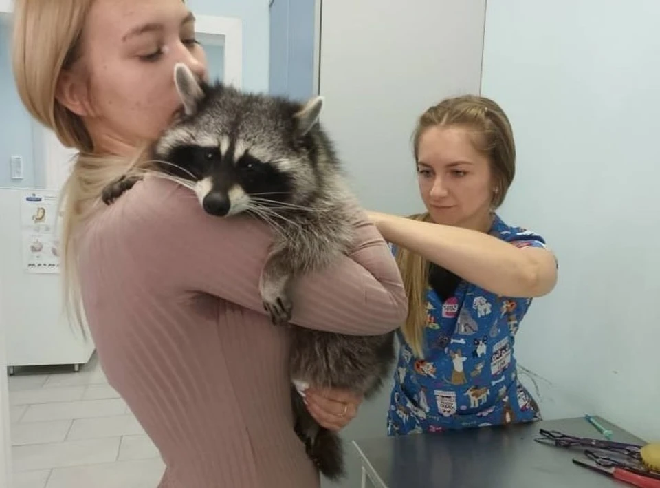 Семен на осмотре