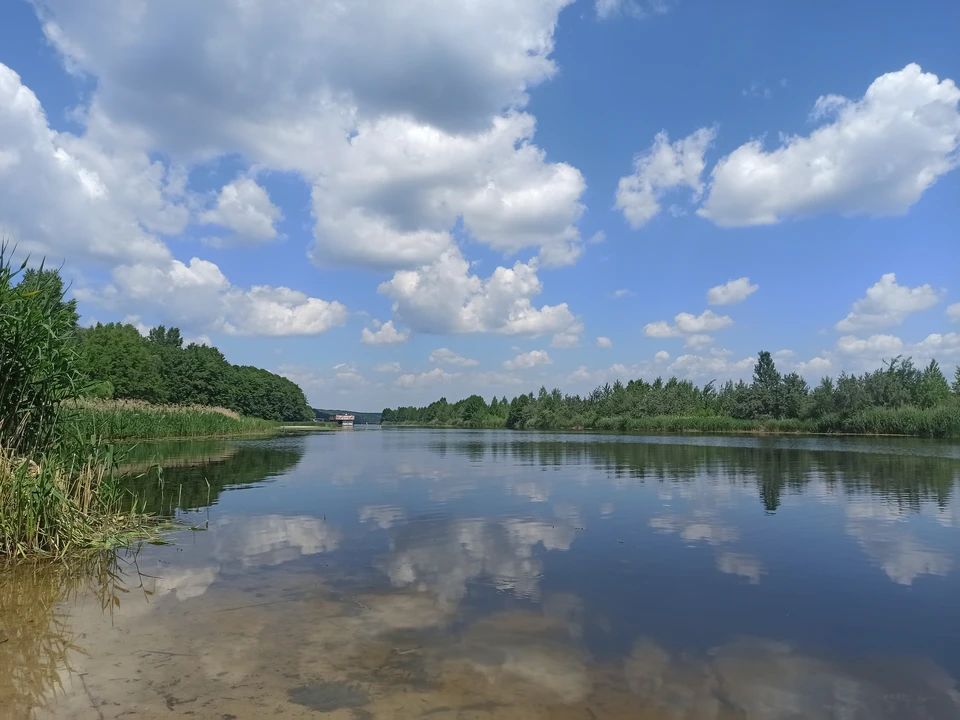 Фото из архива "КП".