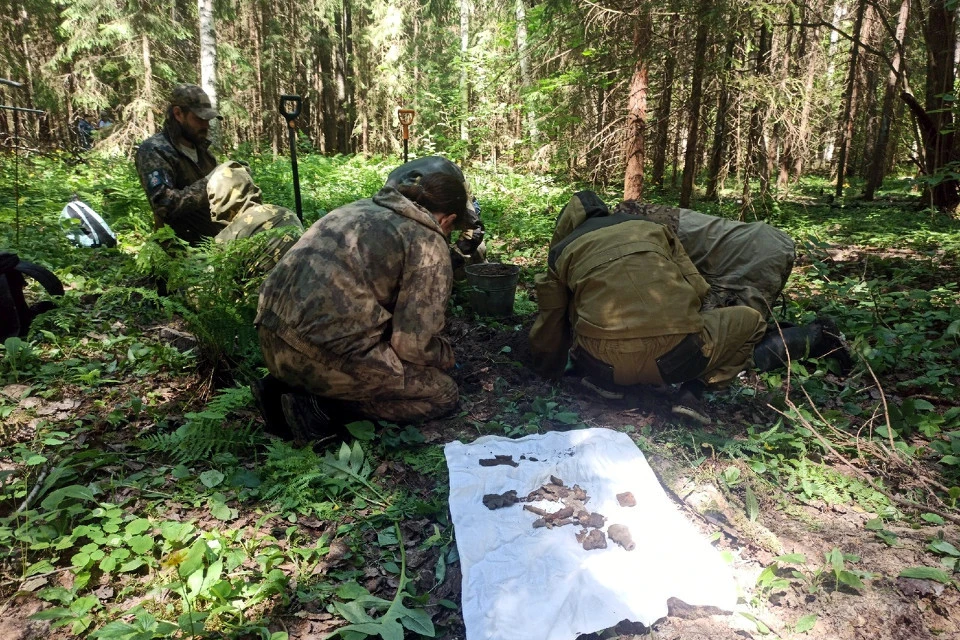 Во время раскопа в лесу под Зубцовым. Фото: VK/Поисковый отряд "Витязь"