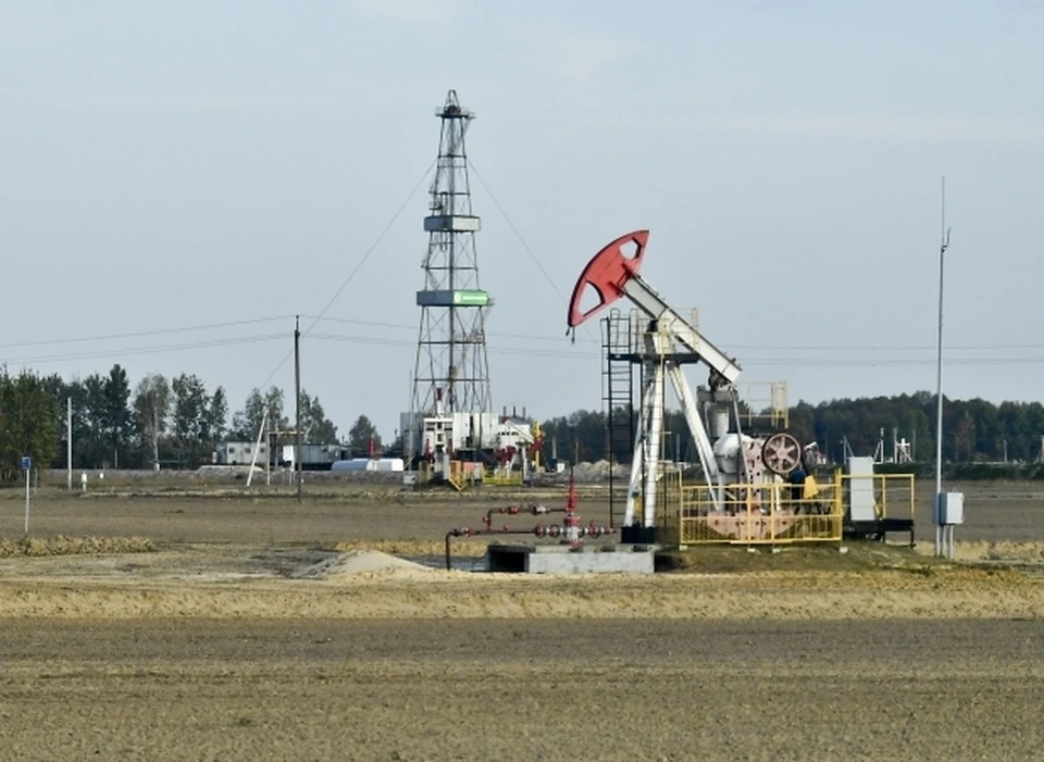 Аналитик объяснил, какие факторы влияют на нефтяные котировки