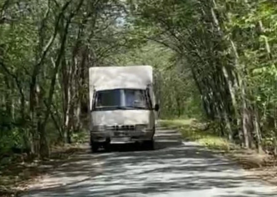 Водитель раскаялся в содеянном