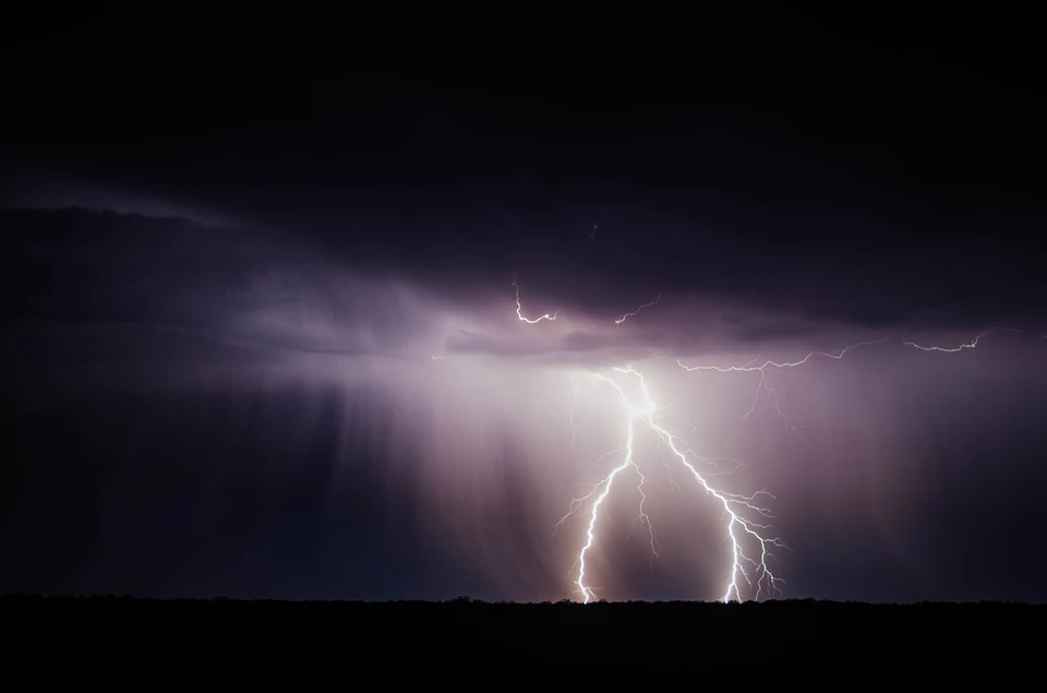 Фото: pexels.com