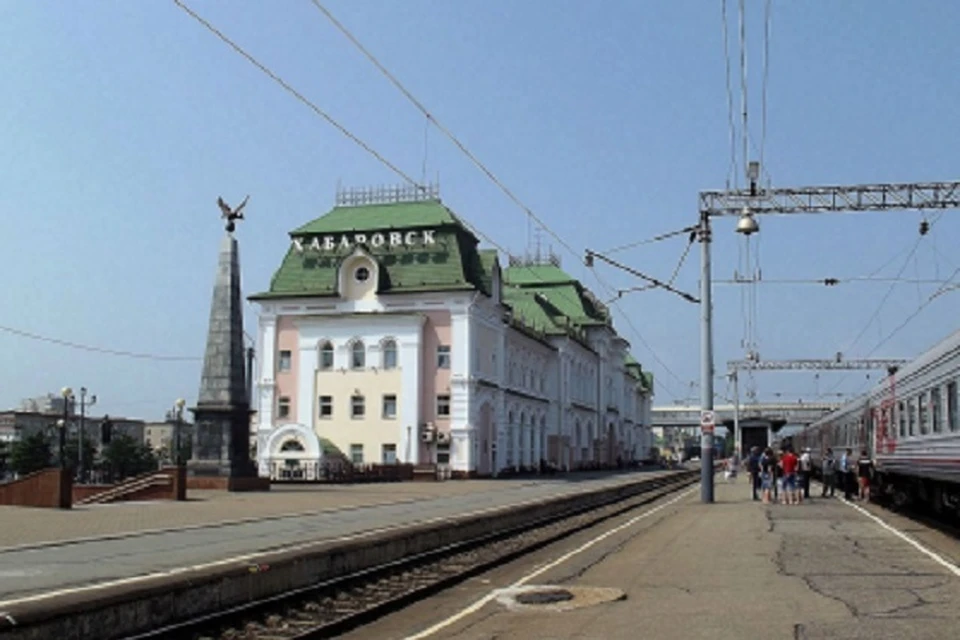 Женщине грозит три года колонии за доставку наркотиков в Хабаровск