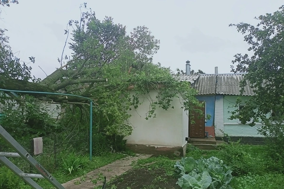 Дерево рухнуло на крышу дома под Липецком