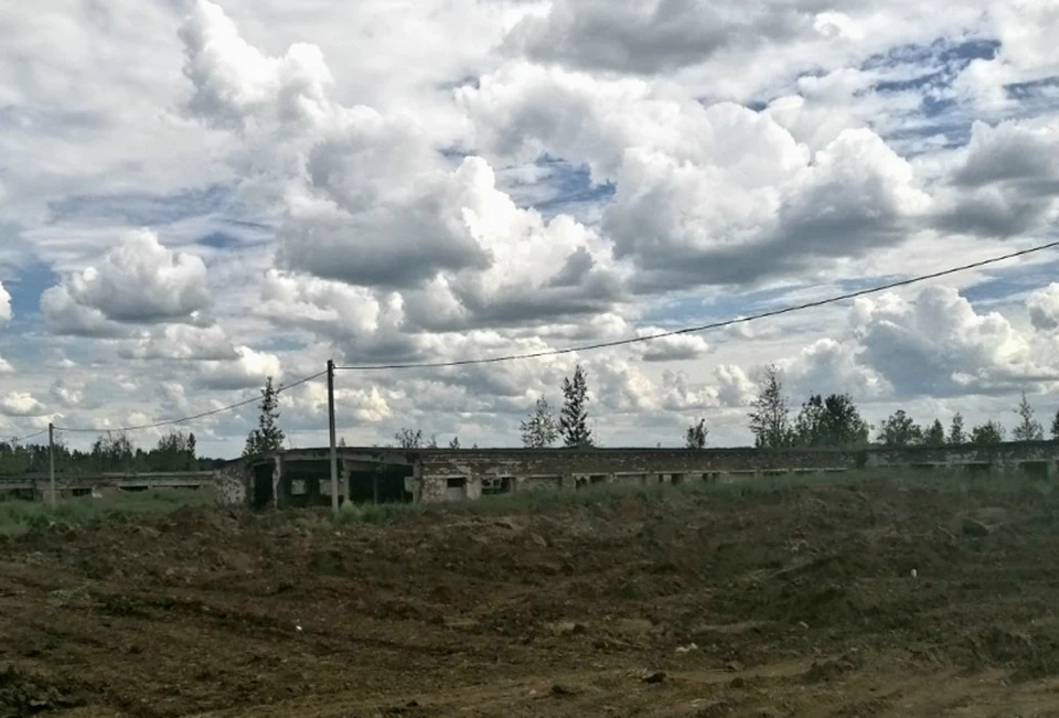 В одной из деревень Завьяловского района пропал коровник. Фото: пресс-служба УМВД России по Удмуртии