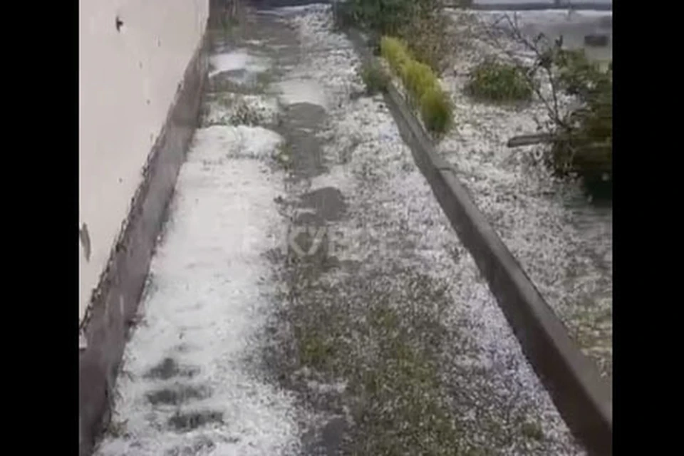 Скриншот видео из паблика vk.com/vkurse22barnaul