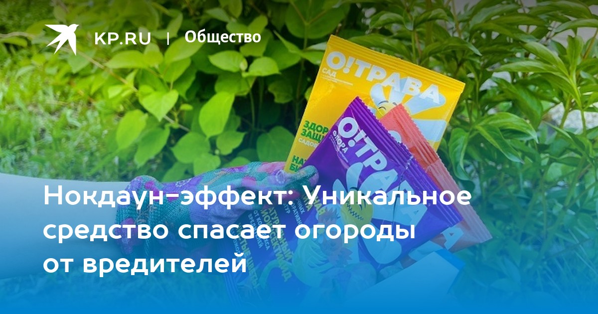 Подраздел 3: Защита растений от вредителей с помощью Нокдауна