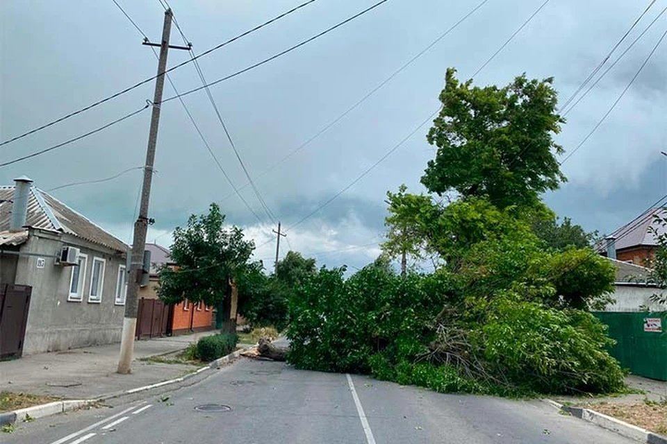 Ураганный ветер повалил деревья в Ейске.