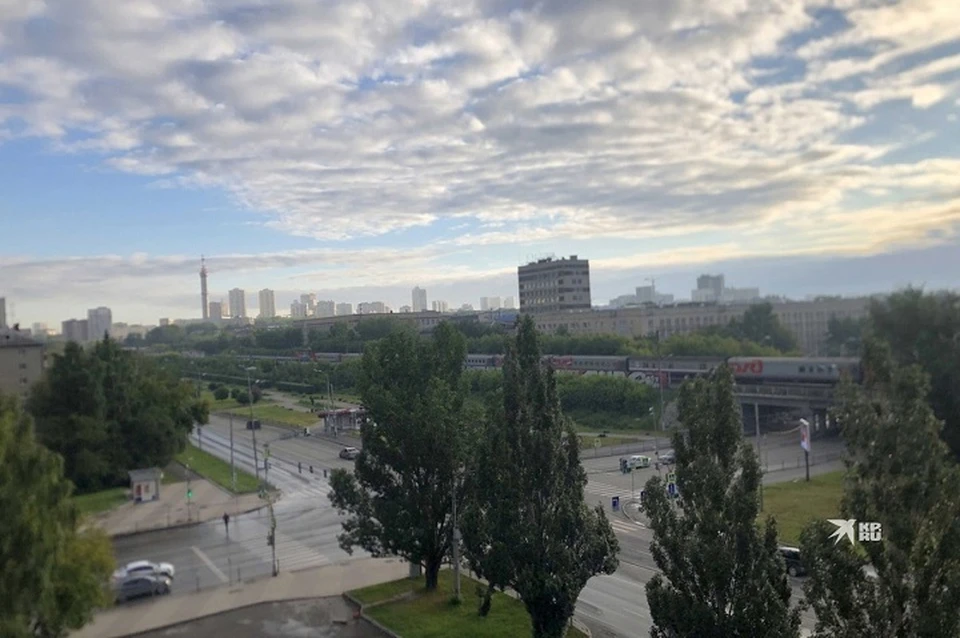 Фото: читатель КП