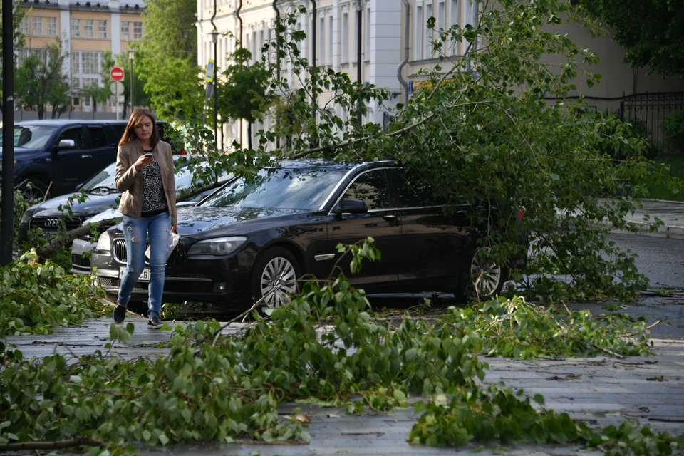 Во время стихии нельзя стоять рядом с деревьями и слабоукрепленными конструкциями