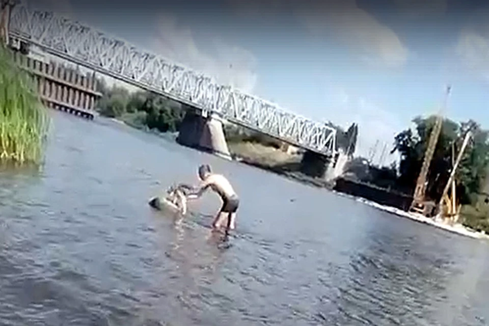 На странного мужчину с кошкой в воде обратила внимание тверичанка Алина. Фото: ТИА
