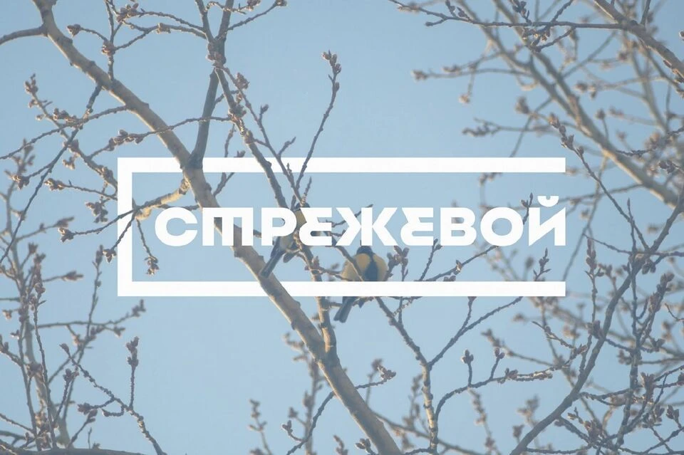 Фото: телеграм-канал "Центр развития городской среды Томской области".