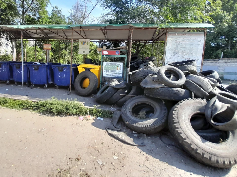 Фото: Общественная палата Ульяновской области