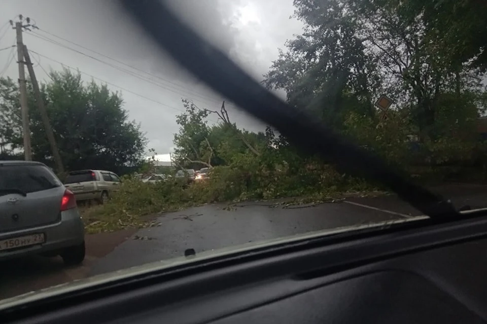 Погодные причуды: упавшие деревья заблокировали проезд по городской улице в Хабаровском крае. Фото: телеграм-канал Komsagram.