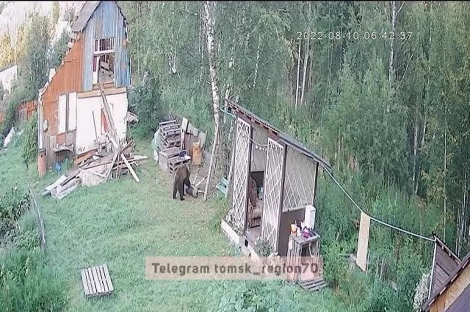 Фото: "Регион-70".