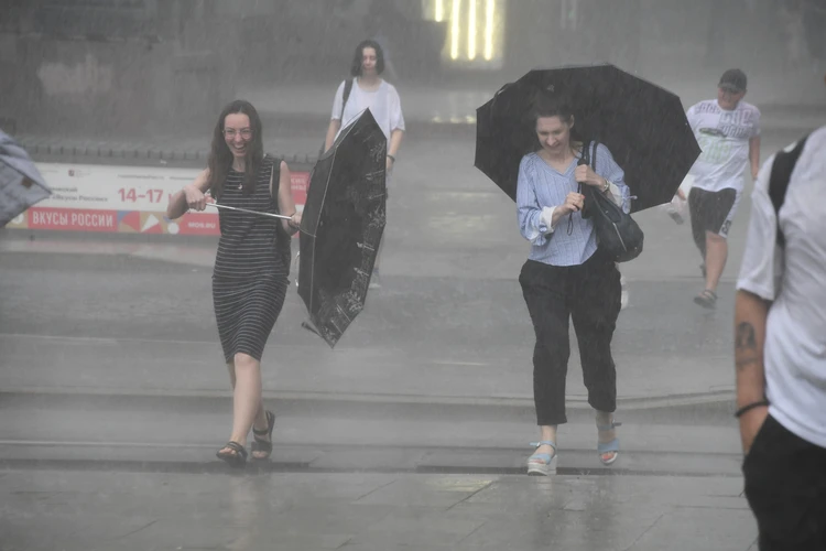 Последствия ливневого дождя в Краснодаре 12 августа 2022: дерево рухнуло после удара молнии, на дорогах - глубокие лужи