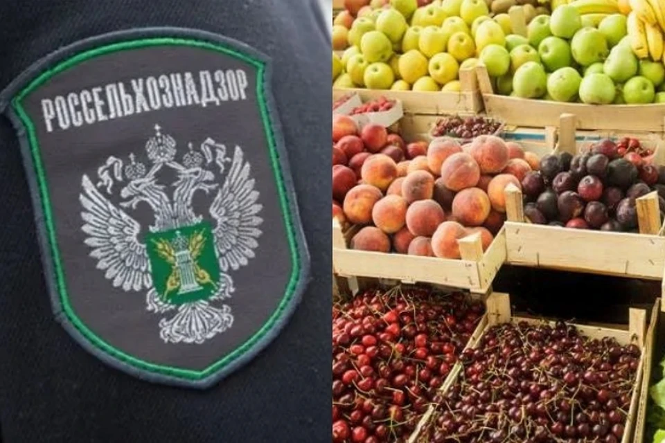 С 15 августа Россельхознадзор запретил ввоз в РФ молдавских овощей и фруктов (Фото: esp.md).