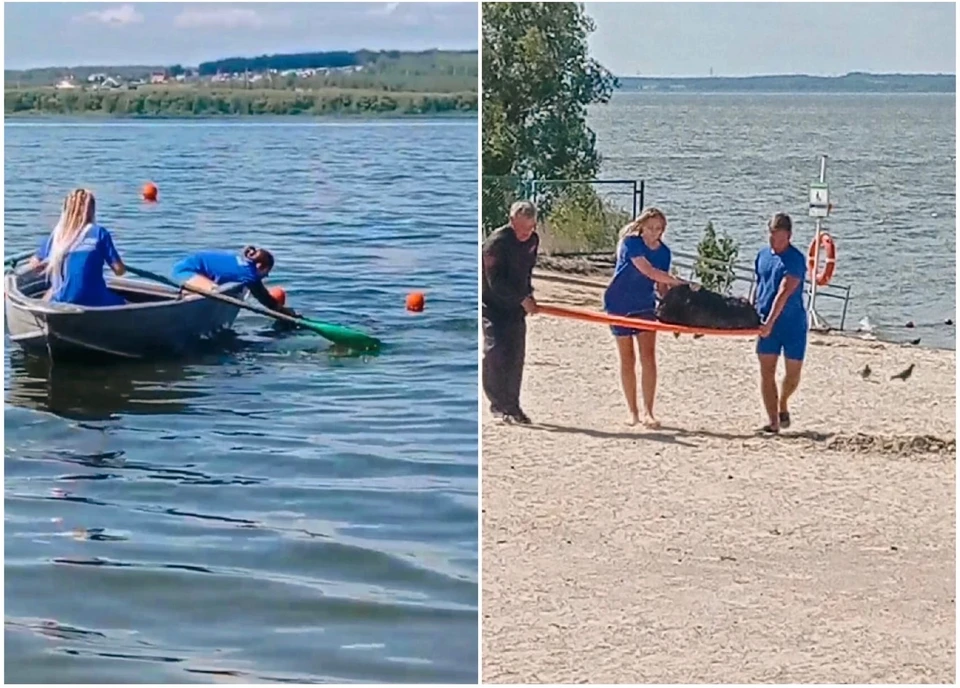 Овцу донесли до машины на носилках. Фото: поисково-спасательная служба на водных объектах Челябинска