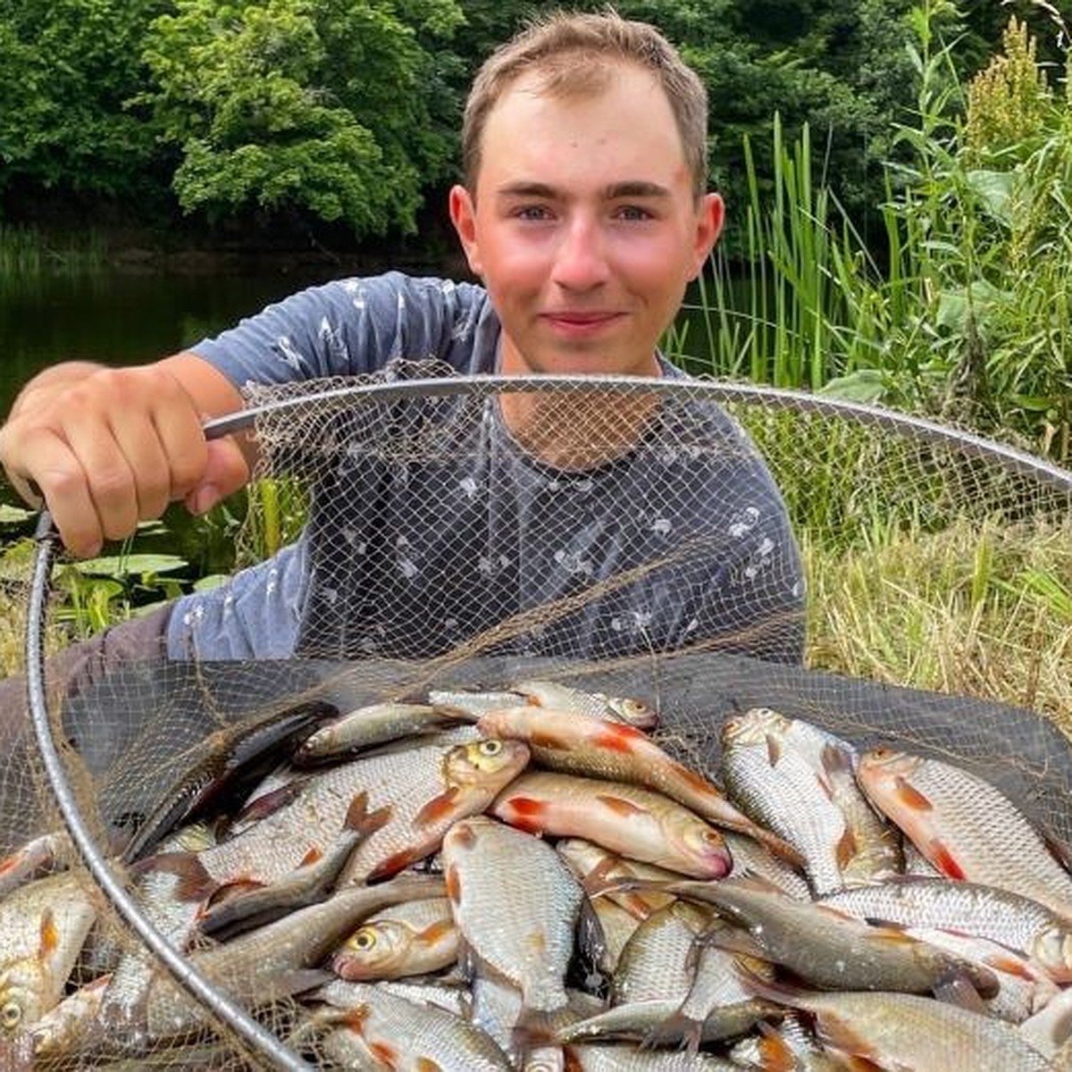 Рыбалка в курске и курской. Гнилое Курская область рыбалка. Пруд гнилое Курская область. База рыбака.