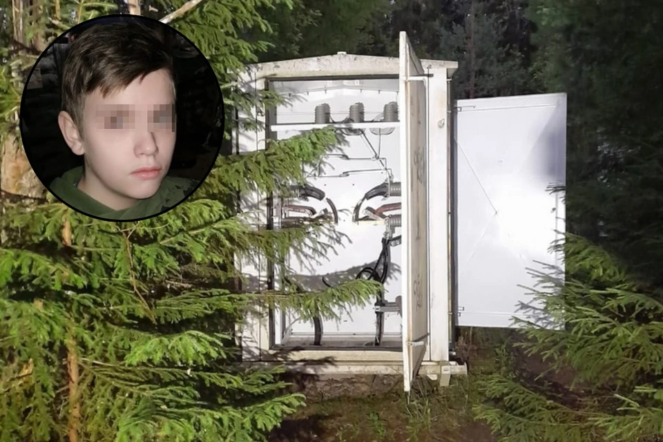 Жители поселка Орехово боятся открытой трансформаторной будки, убившей 14-летнего подростка. Фото: предоставлено "КП"
