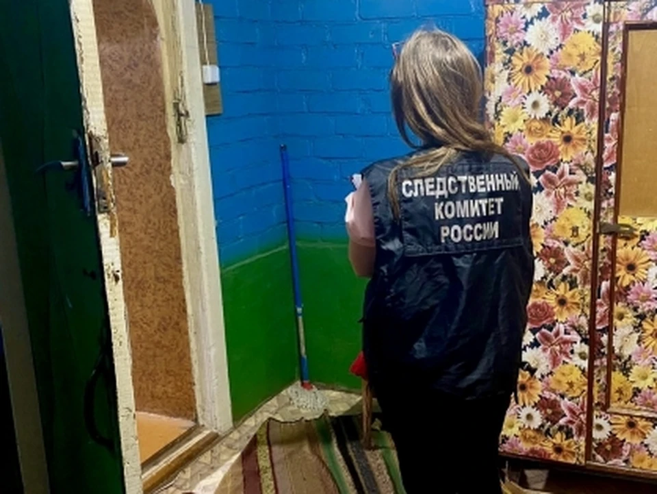Фото: СУ СК по Саратовской области