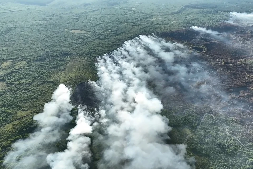 Лесной пожар в Рязанской области показали с высоты.