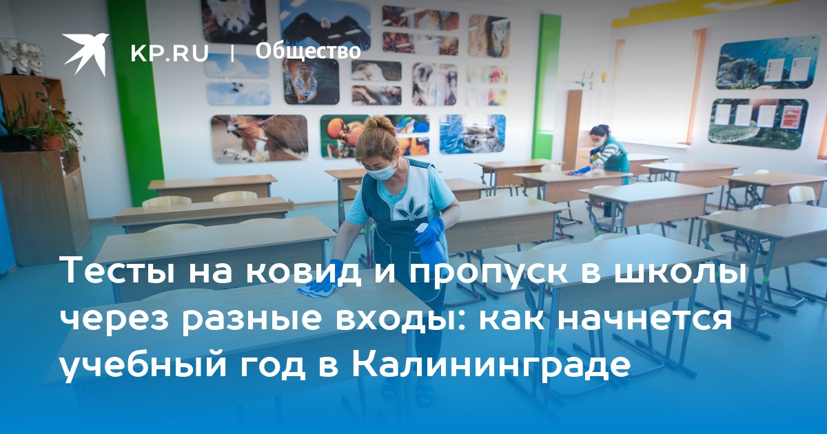 Что такое компьютерное тестирование в школе