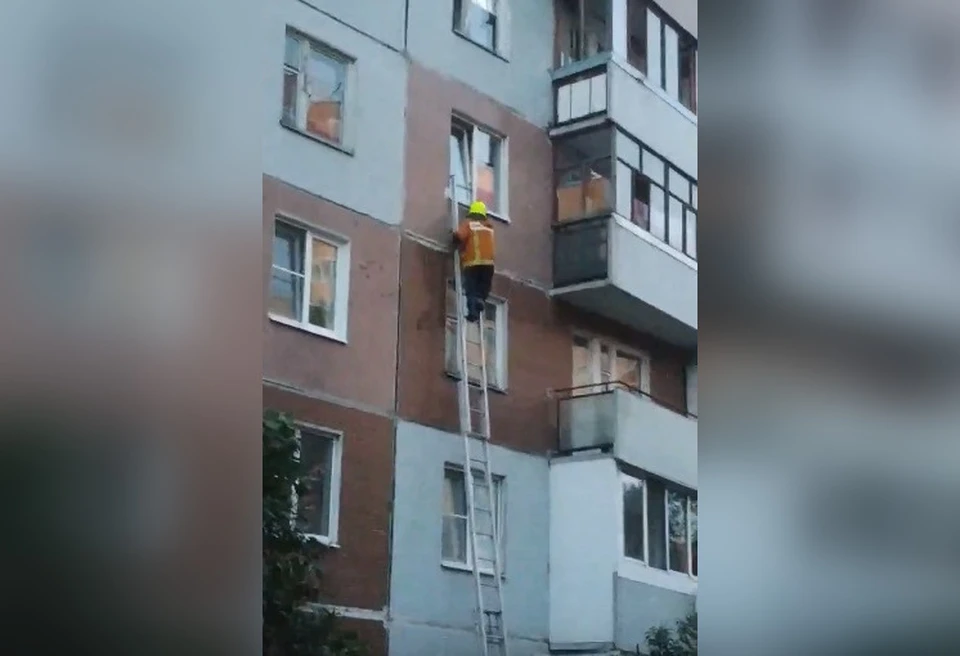 Спасатели поднялись по специальной лестнице и с помощью монтировки вызволили хвостатую